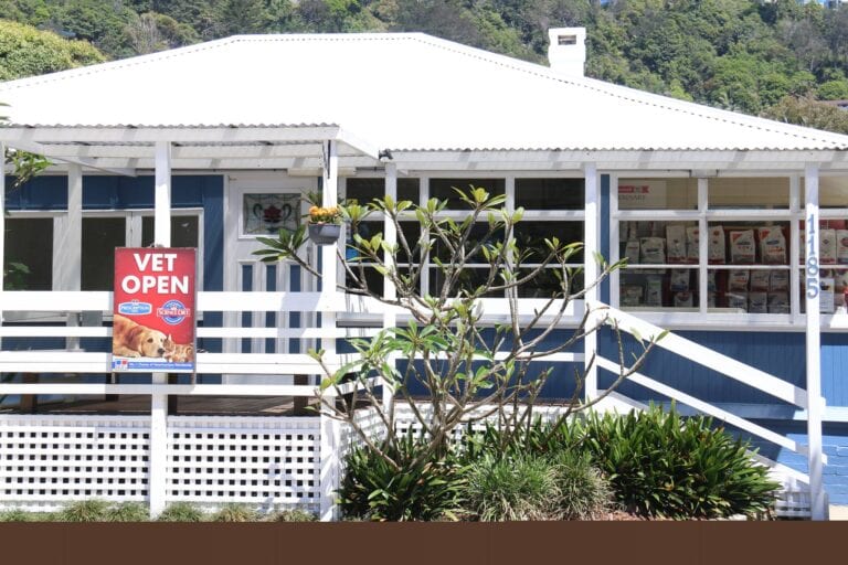 Collary Veterinary Surgery 768x512