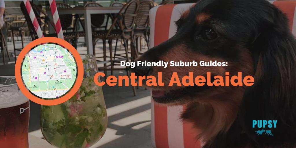 Dog Friendly Central Adelaide