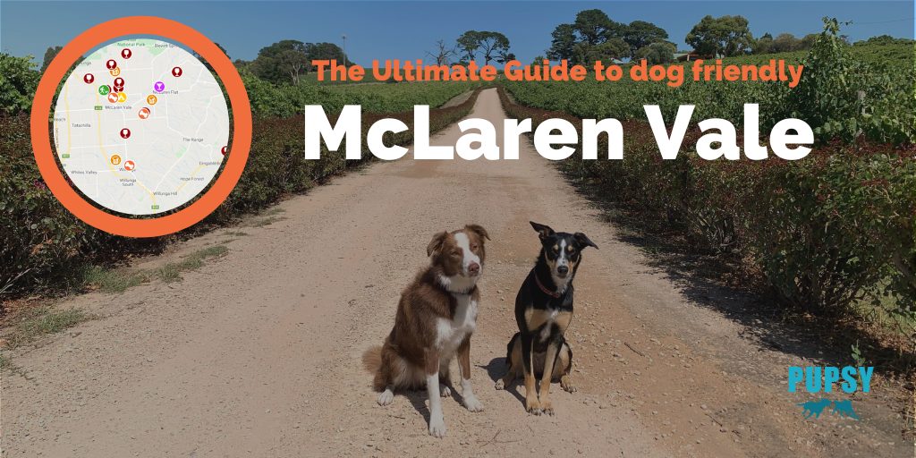Dog Friendly McLaren Vale Main