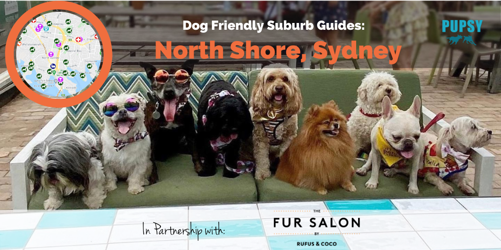 Dog-Friendly-North-Shore-Sydney-The-Fursalon
