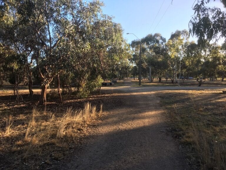 Golden Wattle Park 768x576