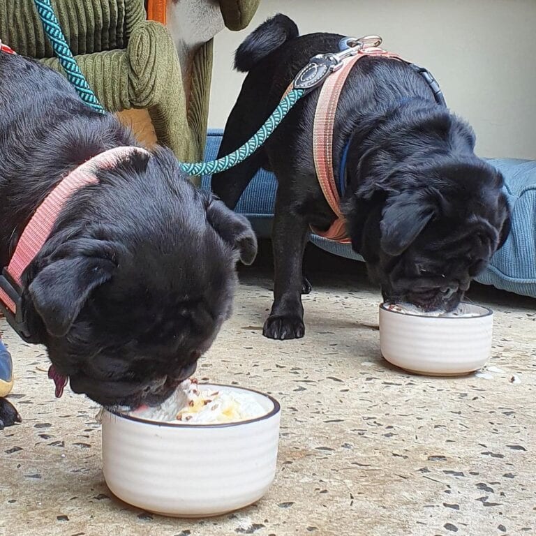 Kindred Spirits 3 768x768