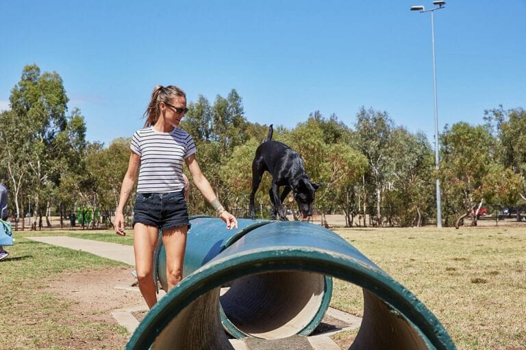North Adelaide Dog Park 768x512