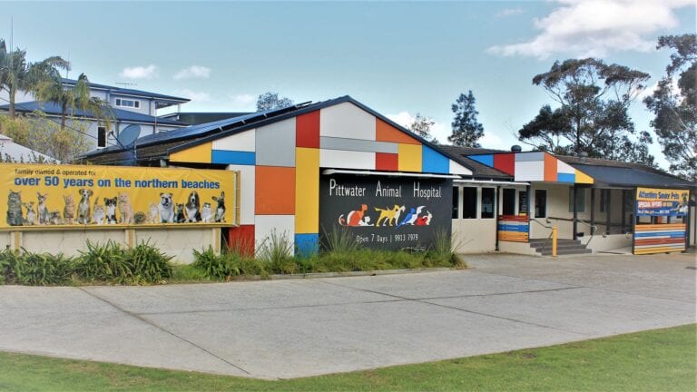Pittwater Animal Hospital 768x432