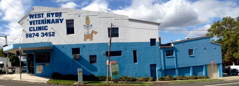 West Ryde Veterinary Clinic 768x277