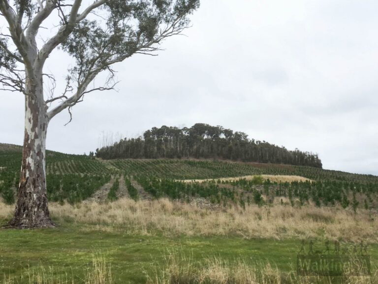 Anderson Loop Trail 768x576