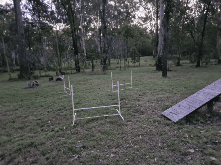 Aussie Bush Photo 1 768x575