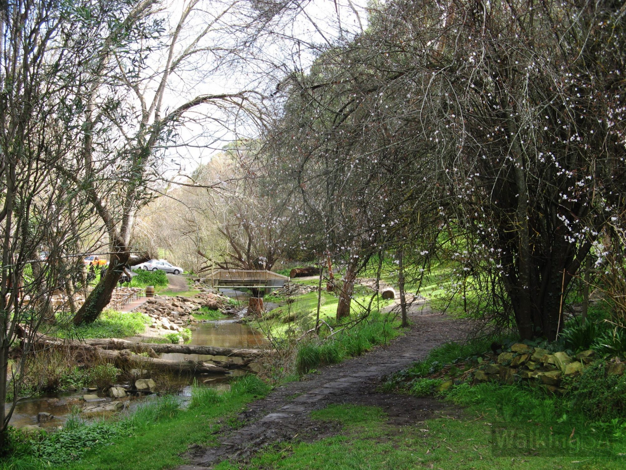 Heysen Trail