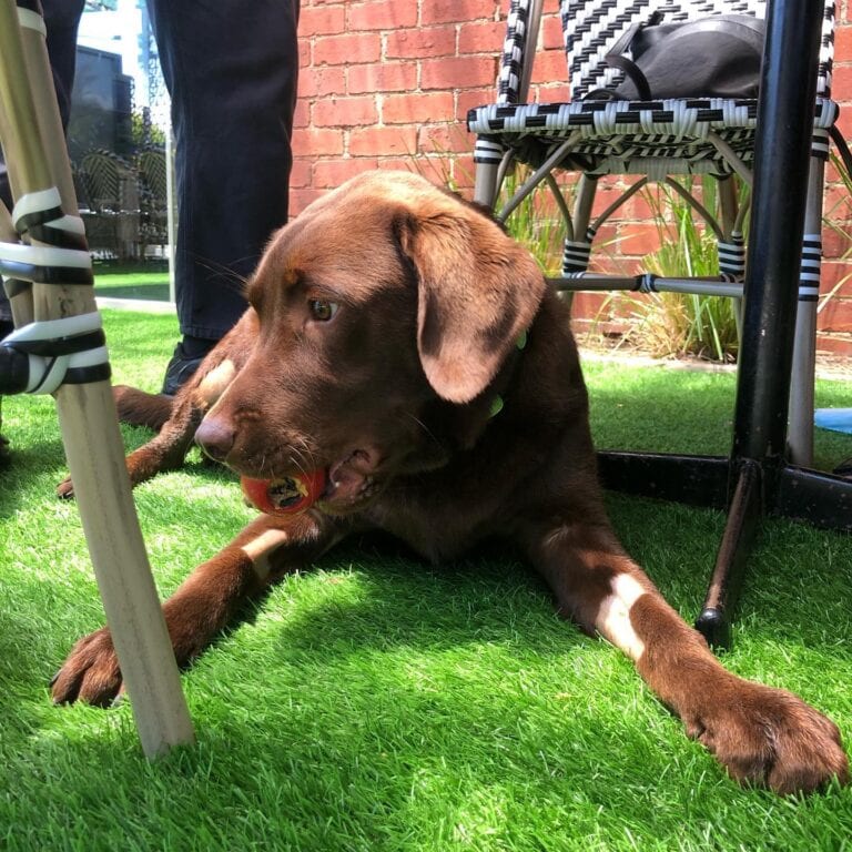 Hotel New Bay 1 768x768