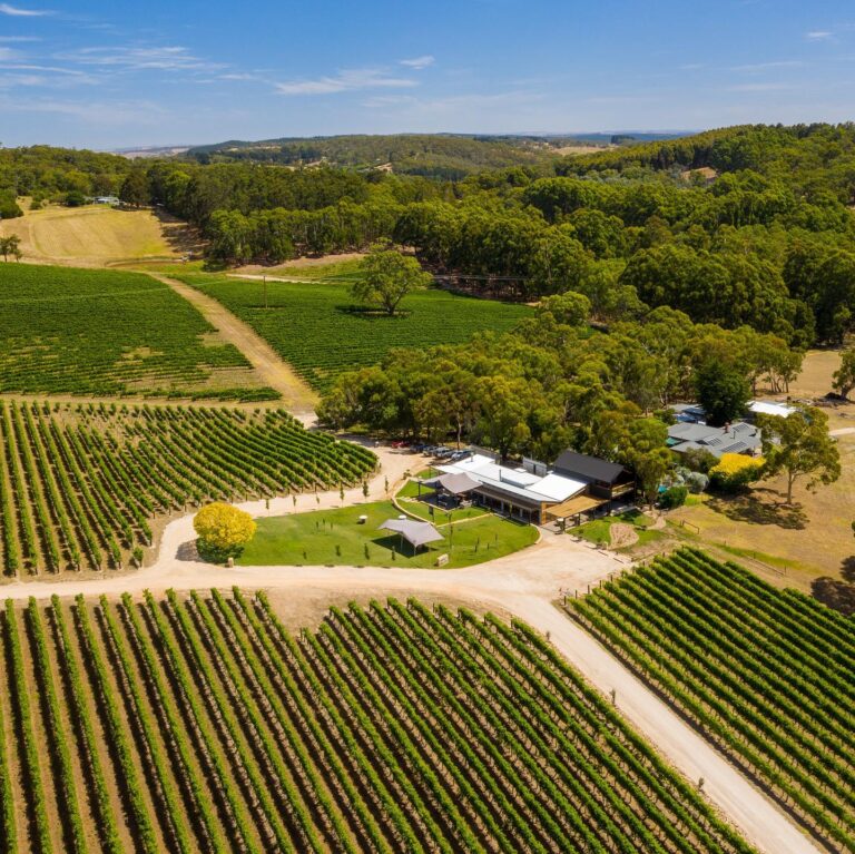 Karrawatta 3 768x767