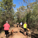 Learners on Lead Sniff and Run Space Photo 3 150x150