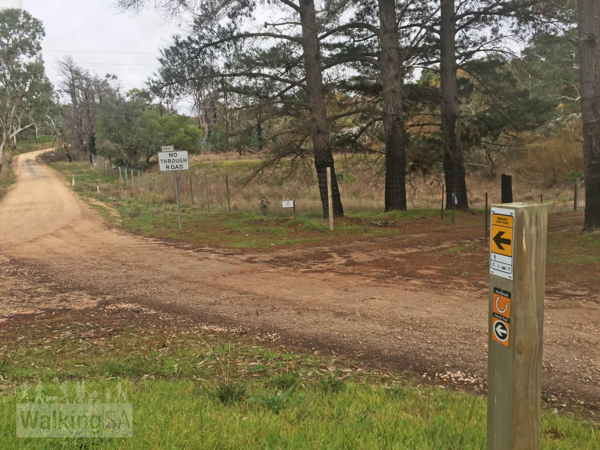 Morgan Loop Trail