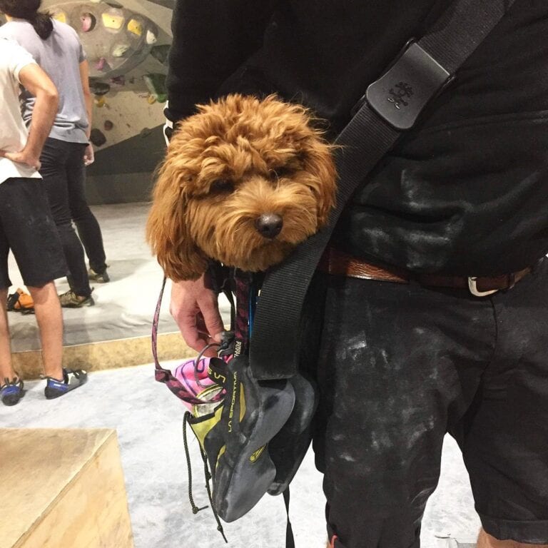 Northside Boulders 2 768x768