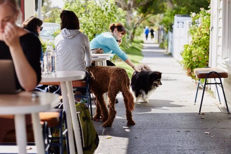 Red Door Corner Store 5 768x512