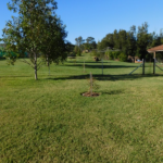 Sniffabout Training   Playground Photo 4 150x150