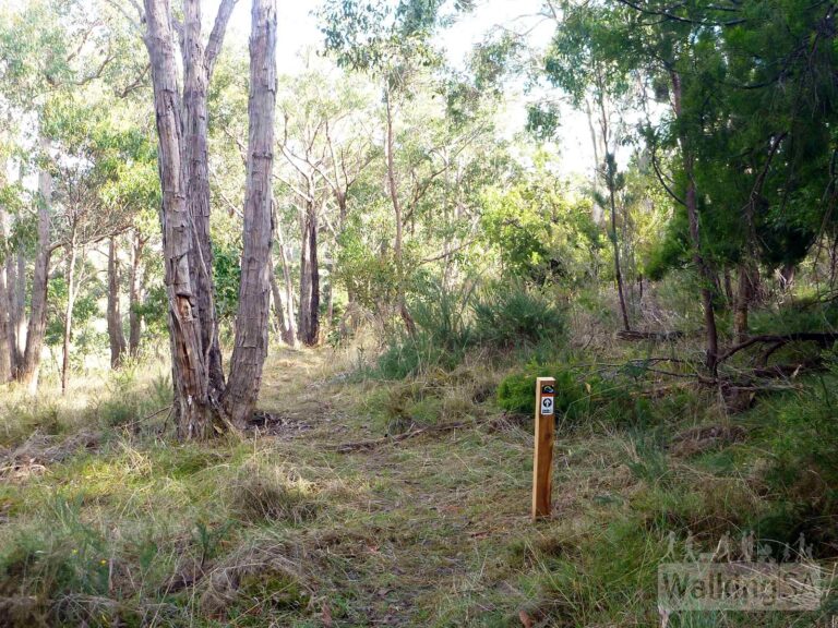 The Monument Trail 768x576