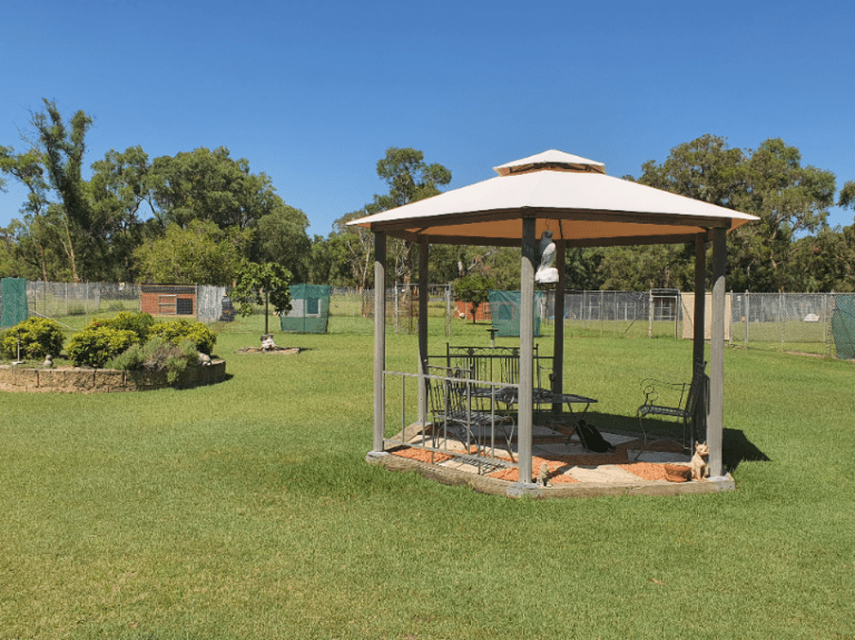 VIP Adventure Park Photo 1 768x575