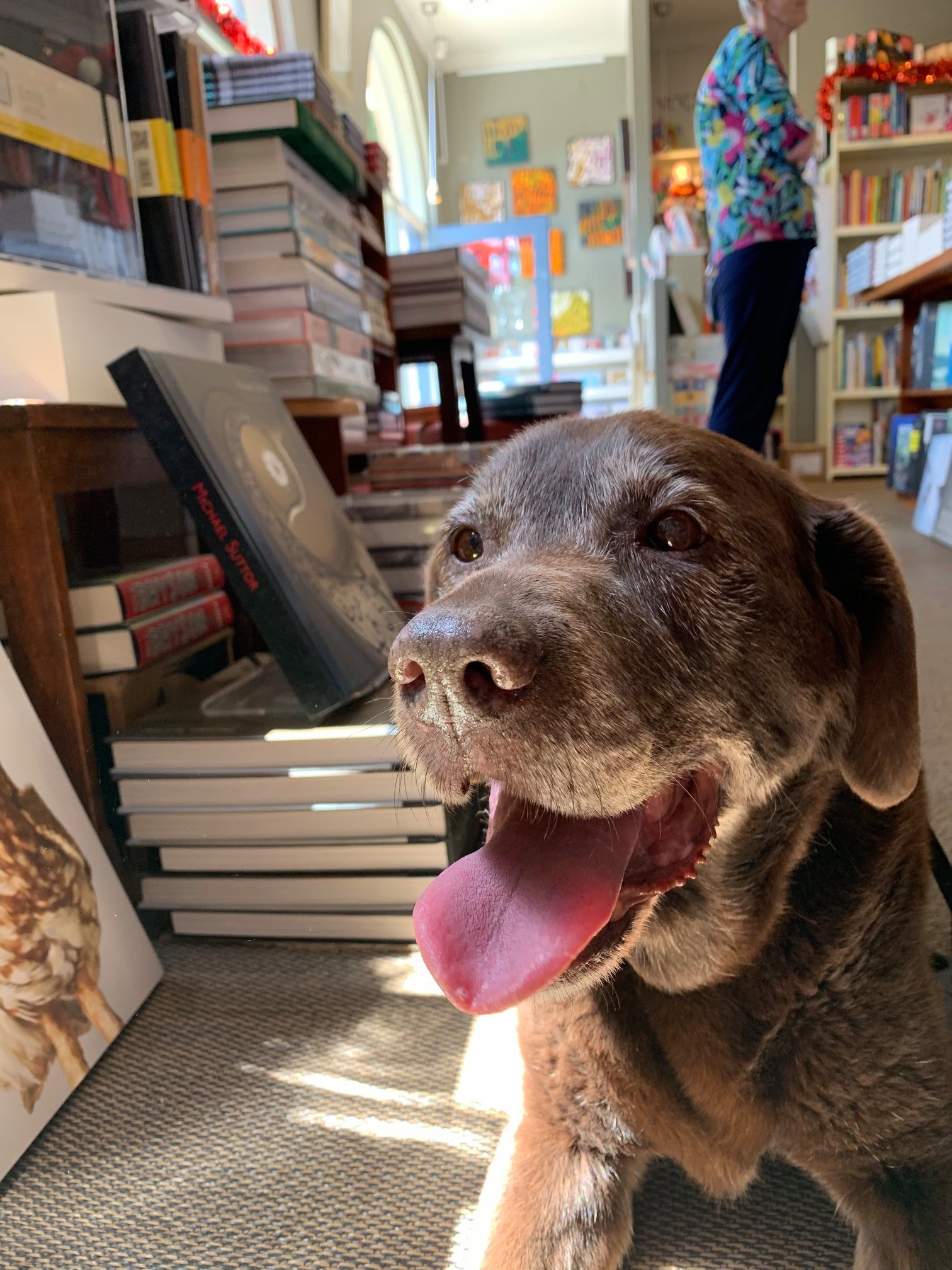 Woollahra Bookshop 3