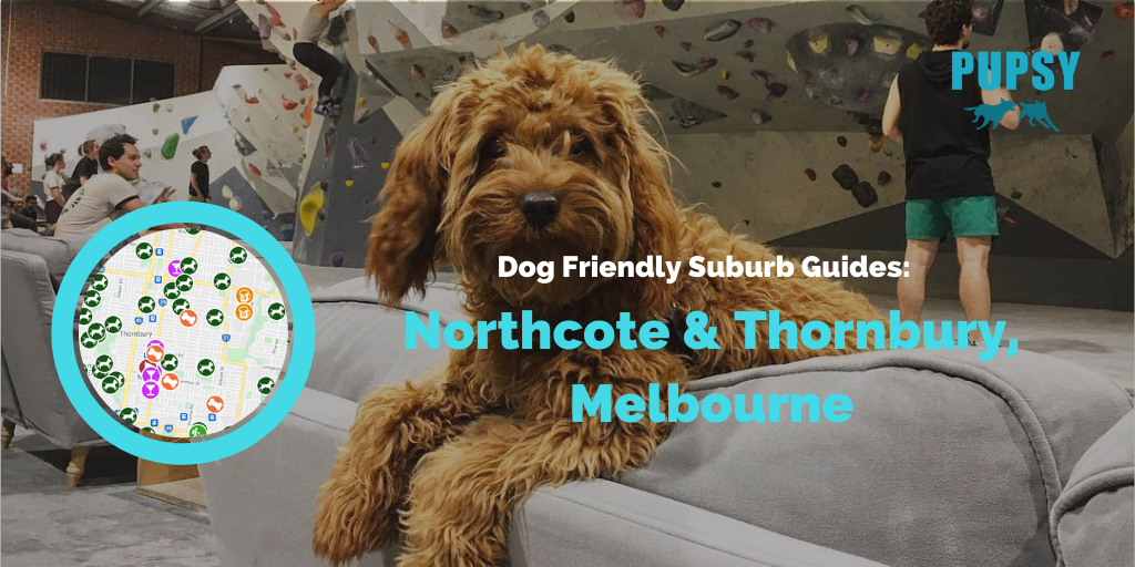 dog-friendly-northcote-and-thornbury