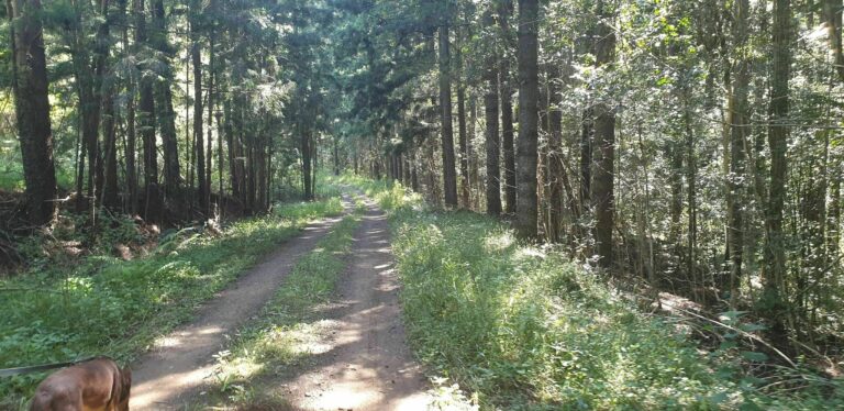 Cooks Knob by Julie Fedorniak 768x374