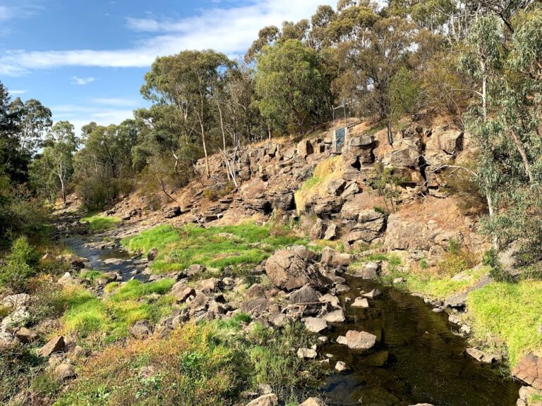 Darebin Creek Forest Park 768x576