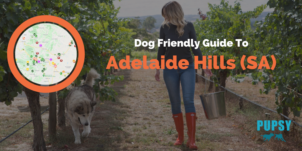 Dog-Friendly-Adelaide-Hills