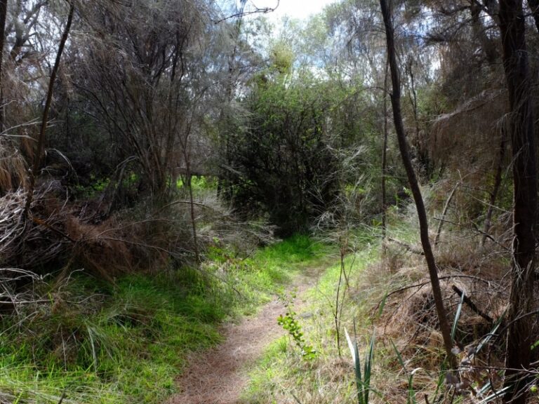 Gnamma Trail 768x576