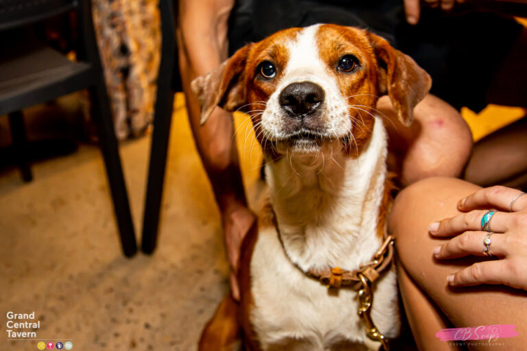 Grand Central Tavern 1 768x512