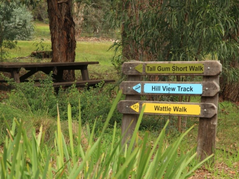 Hill View Walk 768x576