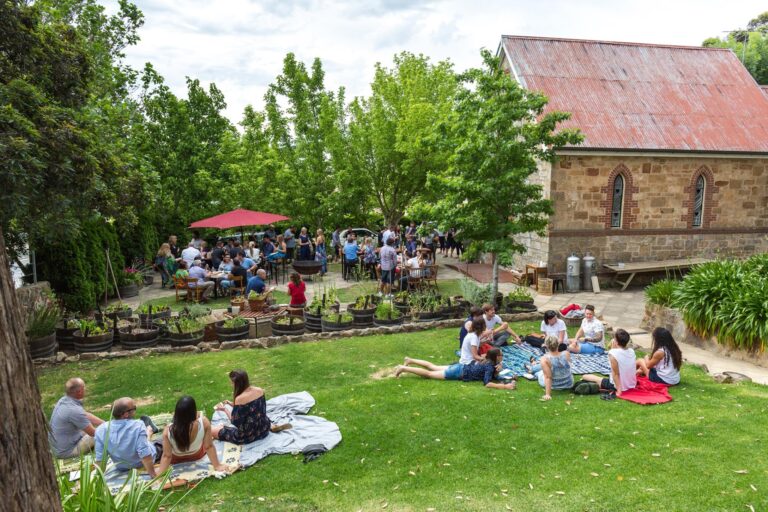 Lost in a Forest 1 768x512