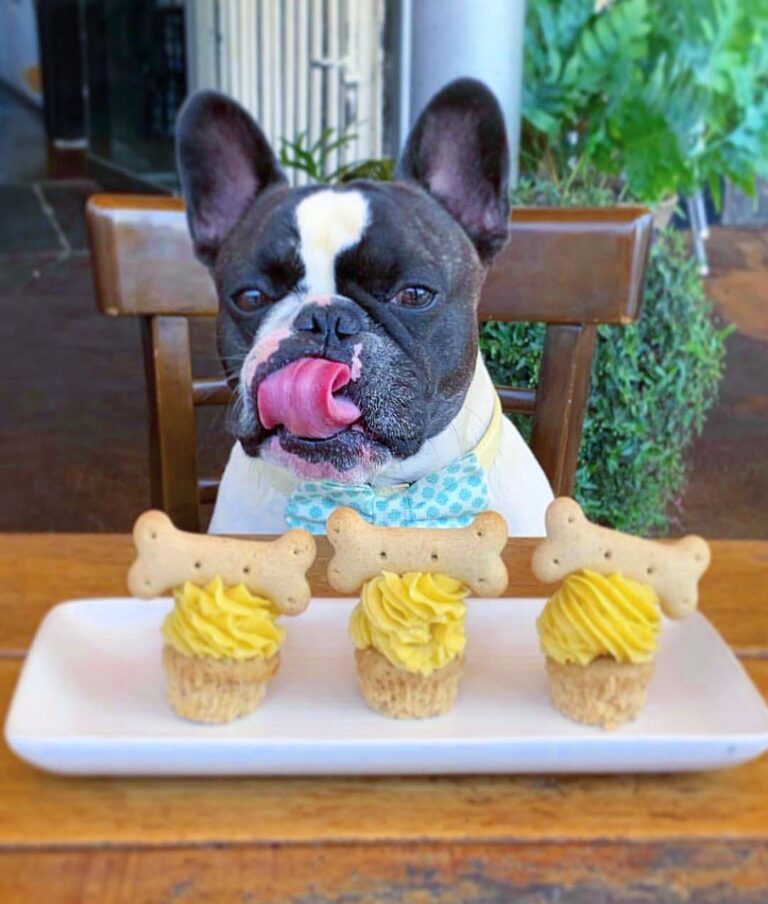 The Glass Den 3 768x904