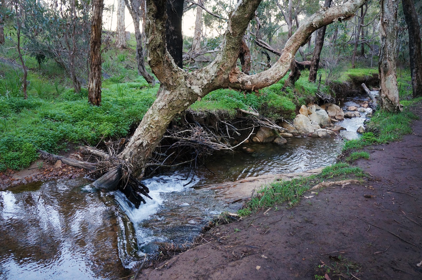 Whistlepipe Gully