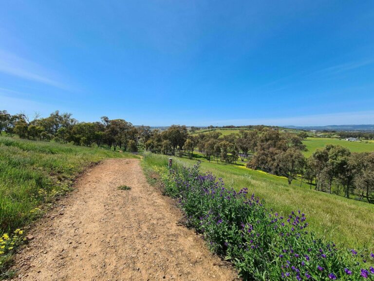 Wiradjuri Track by Erin G 768x576