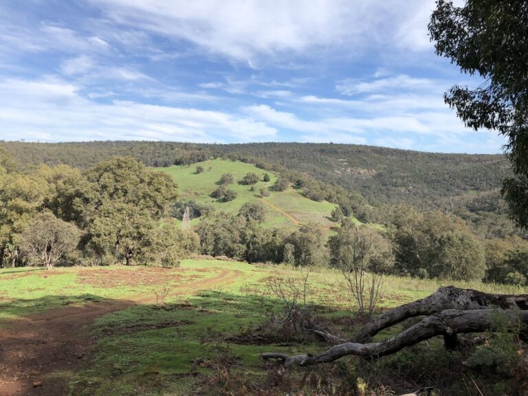 Wungong Gorge Walk 768x576