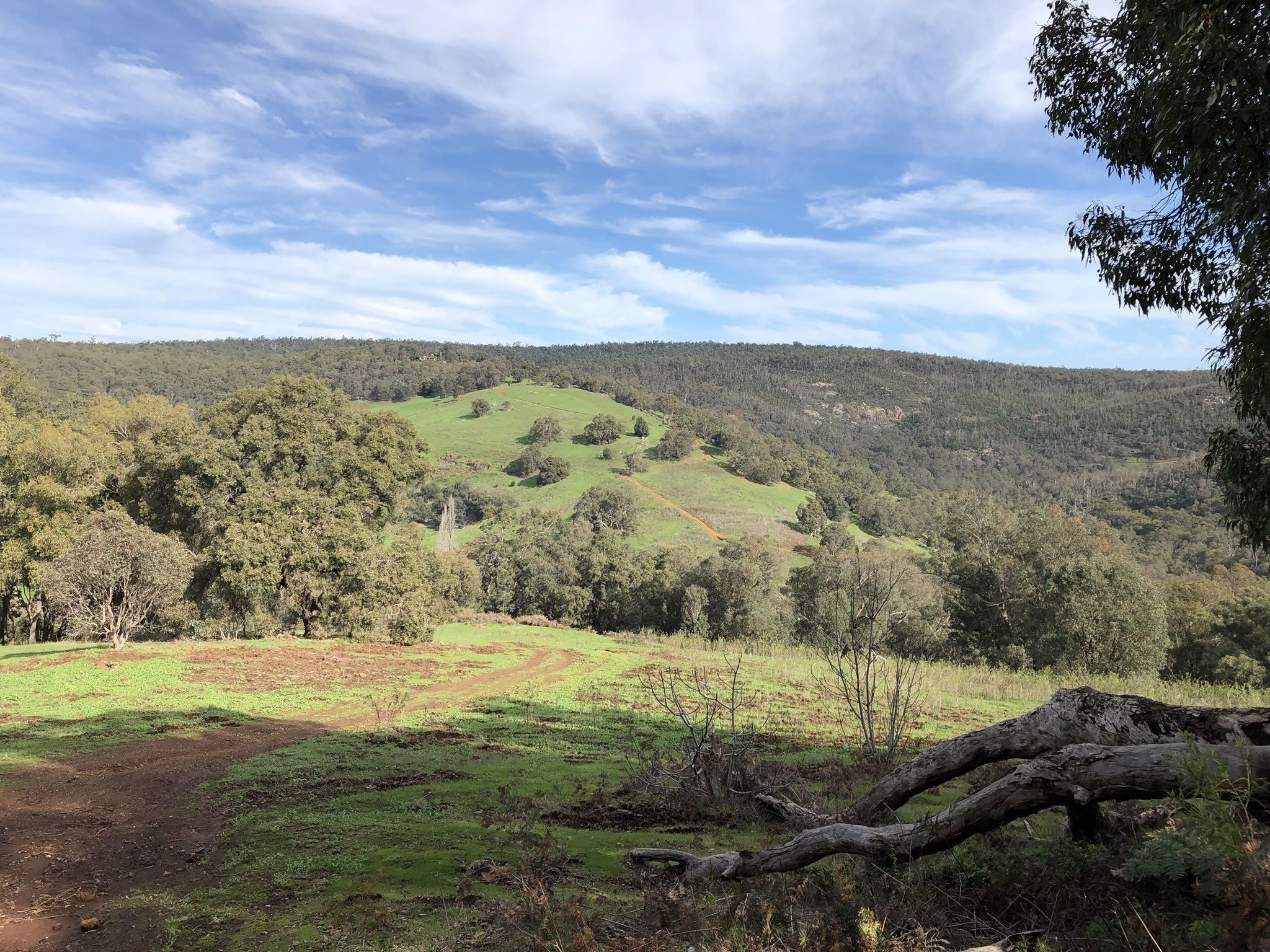 Wungong Gorge Walk