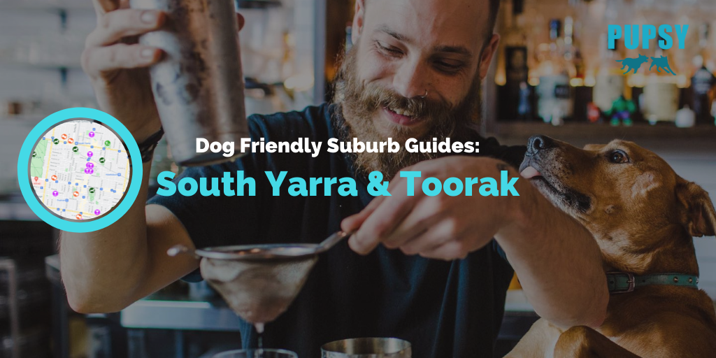 dog-friendly-south-yarra-toorak