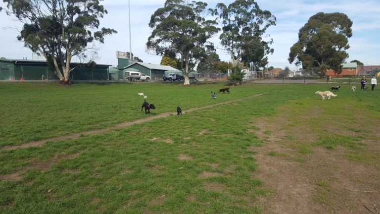 CE Brown Reserve 768x432