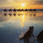 Cable Beach 106 150x150