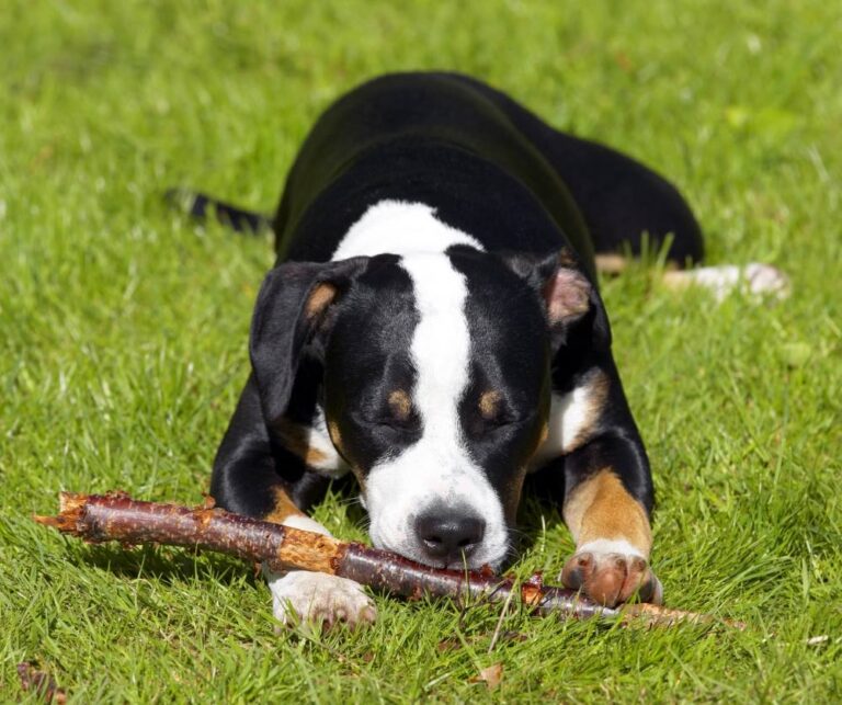 Canadian Lake Reserve 768x643