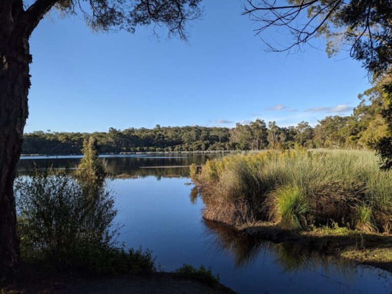 Glenbrook Lagoon 768x576