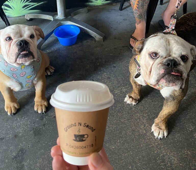 Ground n Sound 4 768x665