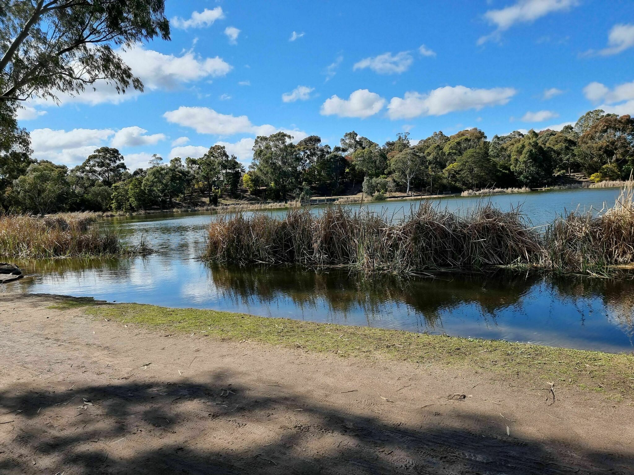 Lake Esmond Loop