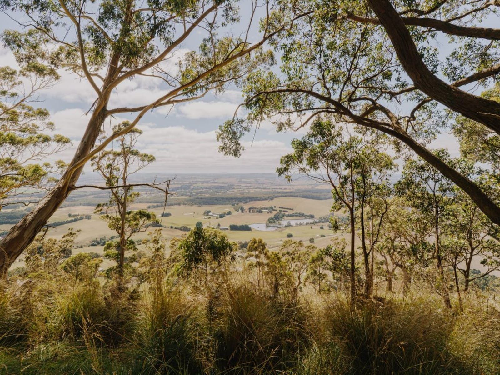 Mount Buninyong