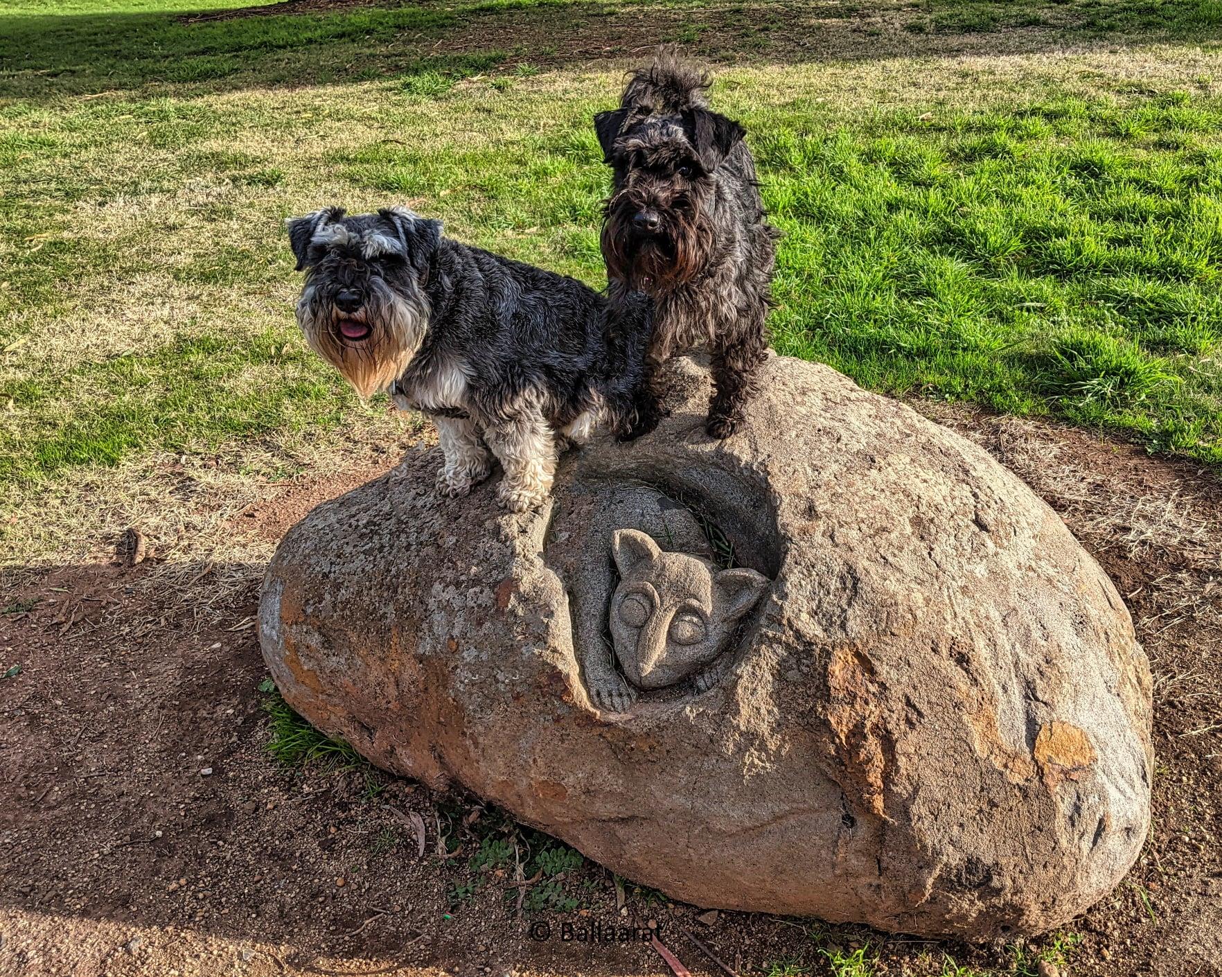 Pennyweight Dog Park