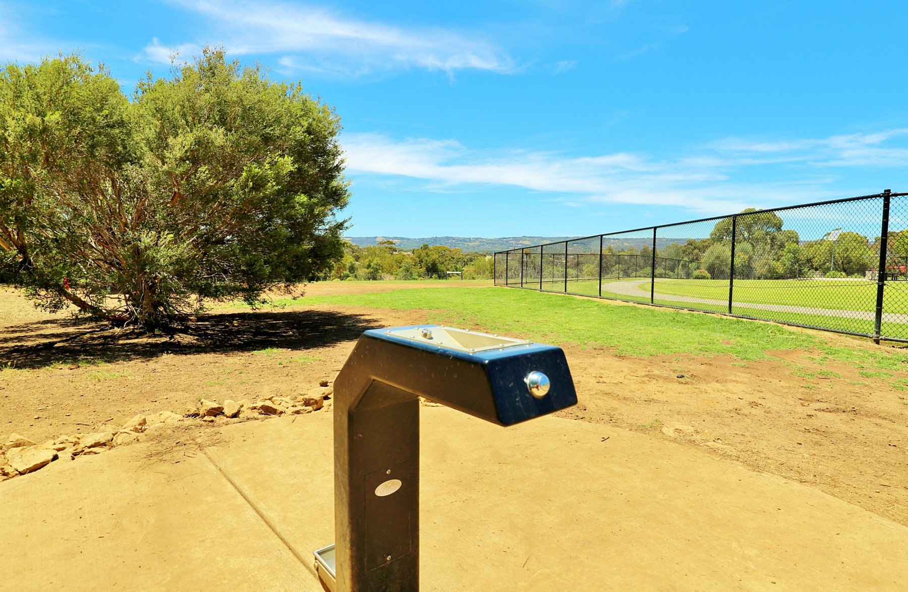 Reserve Street Dog Park