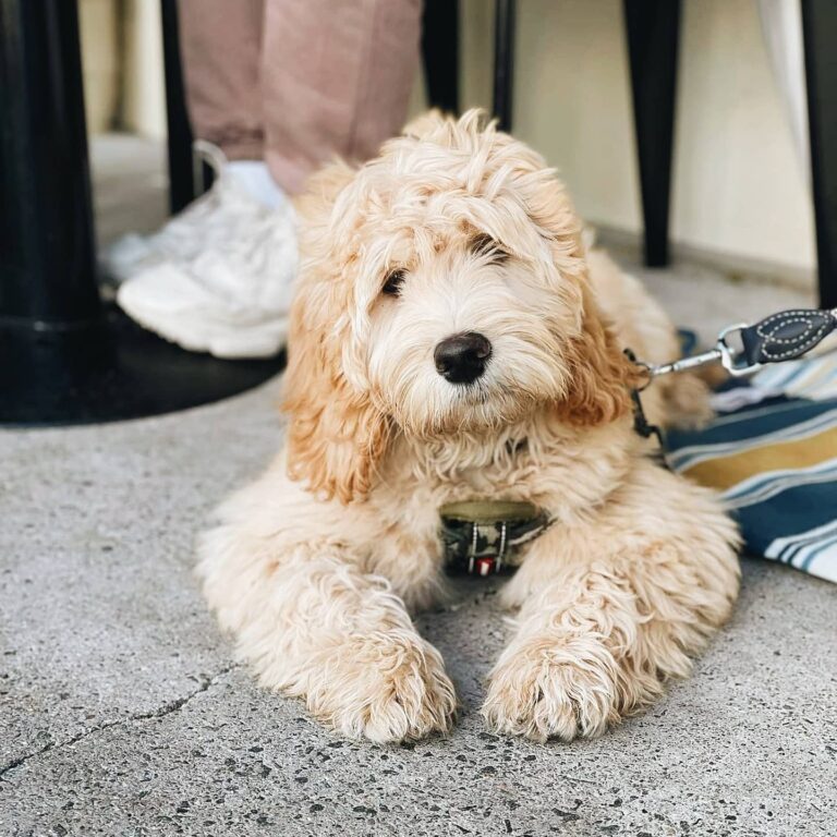 St Coco Cafe 8 768x768