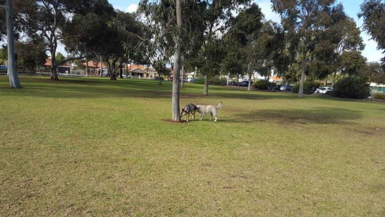 Woodville Dog Park 768x432