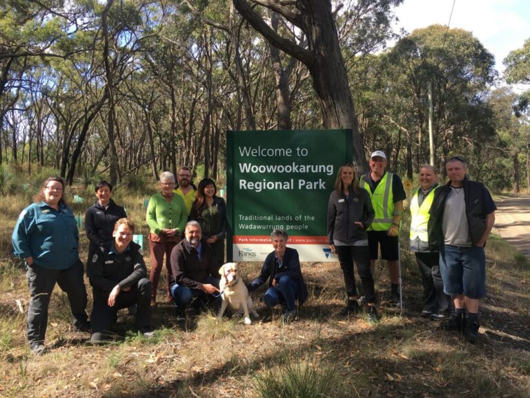 Woowookarung Regional Park 768x576
