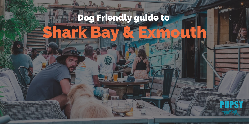 dog-friendly-Shark Bay-and-Exmouth