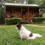 sunshine valley cottages dog friendly accommodation 22 150x150